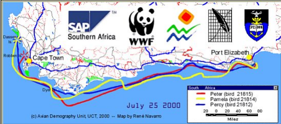 Screenshot 2025-04-28 024736.png